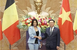 Chủ tịch Thượng viện Bỉ kết thúc tốt đẹp chuyến thăm chính thức Việt Nam