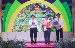 Đắk Lắk công bố nhãn hiệu tập thể Sầu riêng Cư M’Gar