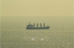 Thêm hai tàu chở hàng rời cảng Odessa
