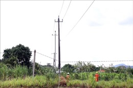 Phú Yên: Hai công nhân thương vong khi sửa đường dây điện 