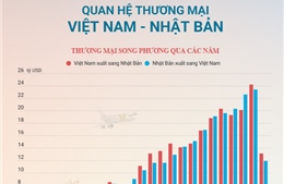 Quan hệ thương mại Việt Nam - Nhật Bản