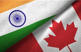 Canada và Ấn Độ bất ngờ tạm dừng đàm phán thương mại