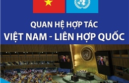 Quan hệ hợp tác Việt Nam - Liên hợp quốc