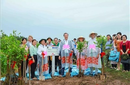 Phát động trồng 1.000 cây bần, chống xói lở bờ sông tại Cần Thơ