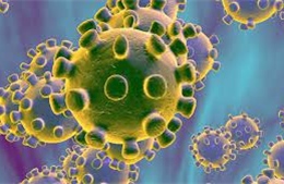 Virus Metapneumovirus gây viêm phổi gia tăng mạnh ở Australia