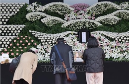 Dựng tác phẩm nghệ thuật tưởng niệm tại nơi xảy ra thảm kịch giẫm đạp Itaewon
