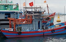 Ngư dân Quảng Nam khẩn trương tìm nơi trú ẩn an toàn