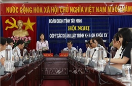 Tây Ninh: Góp ý các dự án luật trình Kỳ họp thứ 6, Quốc hội khóa XV