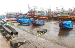Các tỉnh từ Quảng Ninh đến Bình Định chủ động ứng phó với bão số 5 và mưa lớn