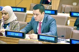 Việt Nam: Tuân thủ luật pháp quốc tế là trách nhiệm của tất cả các quốc gia