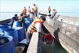 Thả gần 250.000 tôm, cá giống để bảo vệ nguồn lợi thủy sản hồ Dầu Tiếng