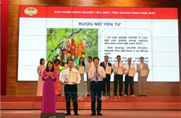 Gương nông dân Việt Nam xuất sắc: Nâng giá trị quả mơ Yên Tử