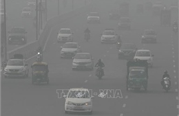 Thủ đô New Delhi lưu thông phương tiện theo biển số chẵn, lẻ để hạn chế ô nhiễm