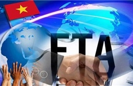 Tận dụng tối đa lợi ích từ FTA Việt Nam - EAEU mang lại