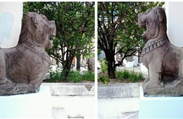 Đề nghị công nhận hai tượng sư tử đá thành Đồ Bàn là bảo vật quốc gia​