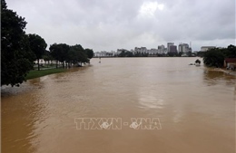 Đề phòng nguy cơ lũ quét, sạt lở đất và ngập lụt tại Thừa Thiên - Huế và Bình Định