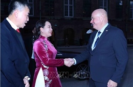 Phó Chủ tịch nước Võ Thị Ánh Xuân hội kiến Chủ tịch Quốc hội Đan Mạch 