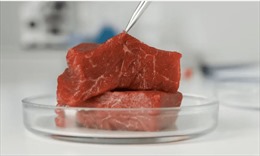 Italy trở thành nước đầu tiên trên thế giới cấm thịt nhân tạo