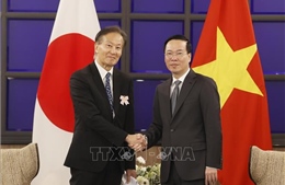 Chủ tịch nước Võ Văn Thưởng tiếp lãnh đạo Hiệp hội Hữu nghị Kyushu - Việt Nam