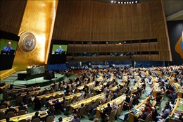 Xung đột Hamas - Israel: Hội đồng Bảo an Liên hợp quốc nhóm họp