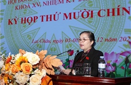 Bãi nhiệm, miễn nhiệm, bầu bổ sung Ủy viên UBND tỉnh Lai Châu