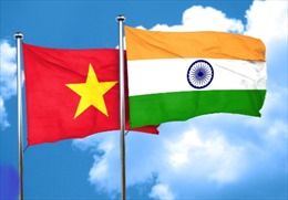 Mở rộng hợp tác giữa các địa phương Việt Nam - Ấn Độ