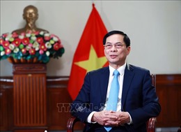 Bộ trưởng Bùi Thanh Sơn: Đã rõ bản sắc &#39;ngoại giao cây tre Việt Nam&#39;