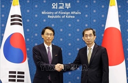 Nhật Bản, Hàn Quốc tổ chức tham vấn kinh tế cấp cao lần đầu tiên sau 8 năm