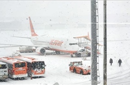 Hàn Quốc: Sân bay quốc tế Jeju gián đoạn hoạt động vì tuyết rơi dày
