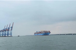 Quảng Nam: Thông tin về vụ 31 container hàng hóa bị rơi xuống biển