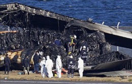 Vụ tai nạn tại sân bay Haneda: Nhật Bản tìm kiếm thiết bị ghi âm buồng lái máy bay Airbus A350
