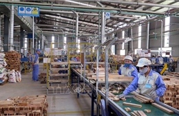 Thành lập Ban Quản lý các khu công nghiệp và khu kinh tế tỉnh Tuyên Quang 