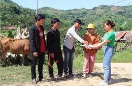 Hướng đến giảm nghèo bền vững vùng núi Quảng Ngãi