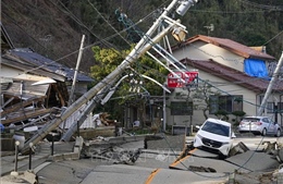 Động đất tại Nhật Bản: Sóng thần nhấn chìm hơn 190 ha đất