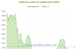 Phiên 16/1/2024: VN-Index tăng 9 điểm