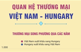 Quan hệ thương mại Việt Nam - Hungary