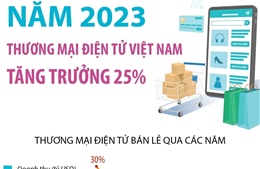 Năm 2023, thương mại điện tử Việt Nam tăng trưởng 25%