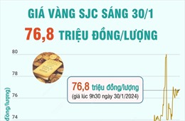 Giá vàng SJC sáng 30/1/2024 giao dịch ở mức 76,8 triệu đồng/lượng