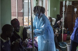 LHQ hỗ trợ khẩn cấp 2,5 triệu USD giúp Zambia chống dịch tả bùng phát