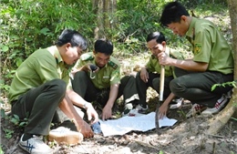 Đắk Lắk: Ngăn chặn tình trạng phá rừng, lấn chiếm đất lâm nghiệp