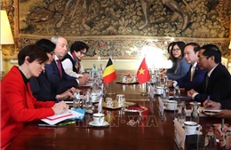 Bộ trưởng Ngoại giao Bùi Thanh Sơn hội kiến lãnh đạo Quốc hội và hội đàm với Bộ trưởng Ngoại giao Bỉ
