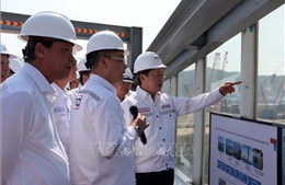 Đề xuất hình thành Trung tâm năng lượng tái tạo tại Bà Rịa - Vũng Tàu