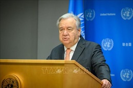 Liên hợp quốc thành lập ủy ban độc lập đánh giá UNRWA