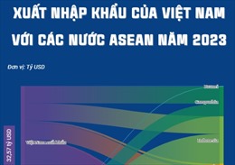 Xuất nhập khẩu giữa Việt Nam với các nước ASEAN năm 2023 - Phần cuối
