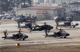Mỹ - Hàn diễn tập phòng thủ phản công trên không