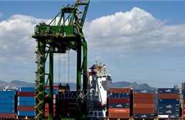 Brazil tăng mạnh nhập khẩu hàng hóa từ Việt Nam