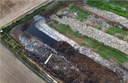 Kiểm tra, xác minh phản ánh cơ sở nuôi trùn quế gây ô nhiễm môi trường