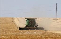 EU đạt thỏa thuận tạm thời về nhập khẩu nông sản miễn thuế từ Ukraine