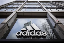 Liên đoàn bóng đá Đức chấm dứt hơn 70 năm hợp tác với Adidas