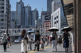Thủ đô Nhật Bản ghi nhận nhiệt độ cao kỷ lục trong tháng 3